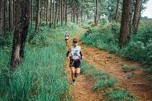 BIB: 
                            <button type="button" onclick="openModal(25657654)" class="btn btn-primary btn-sm float-right btn-popup" data-toggle="modal" data-target=".modal-high-quality">
                        <i class="fas fa-shopping-cart"></i> Add to Cart
                    </button>
                                            <button type="button" onclick="isThisMe(25657654, true)" class="btn btn-success btn-sm float-right btn-popup btn-isme hidden" data-toggle="tooltip" data-placement="bottom" title="นี่คือรูปของคุณใช่ไหม คลิกที่นี่เพื่อเอาเข้าอัลบั้ม">
                        <i class="fas fa-plus"></i> Add to album
                    </button>
                    <button type="button" onclick="isThisMe(25657654, false)" class="btn btn-warning btn-sm float-right btn-popup btn-isnotme hidden">
                        <i class="fas fa-ban"></i> Remove from album
                    </button>